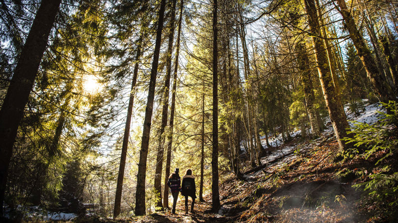 Pilegrim i Tunsberg - Pereginus