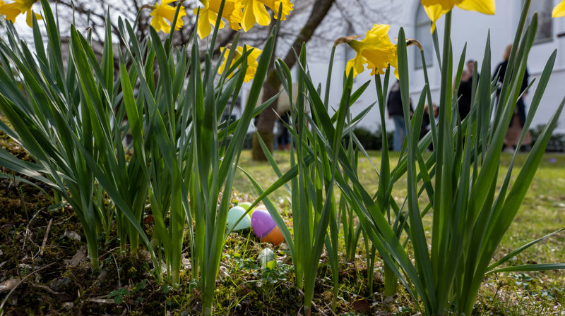 Greier du påskerebusen?