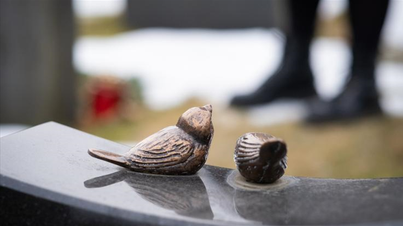 Generell informasjon