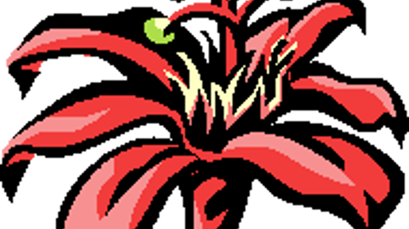 Hyggetreff på Holemoen