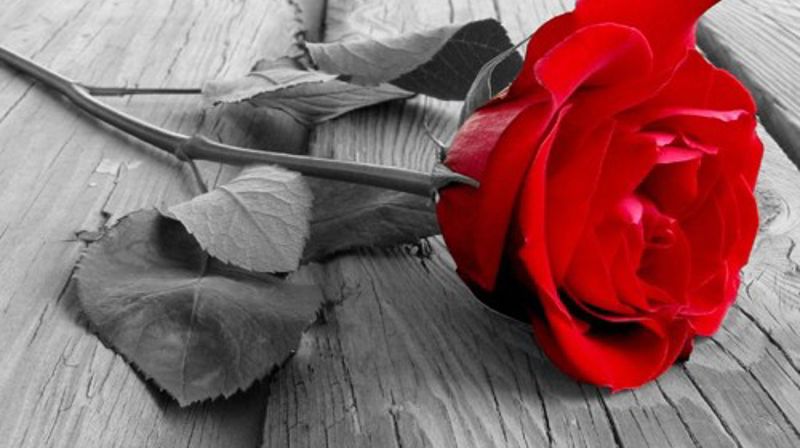 10- årsmarkering for terrorhendelsene 22. juli