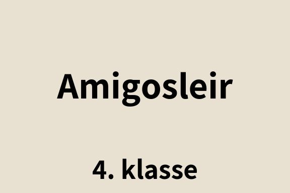 Amigosleir 4. klasse