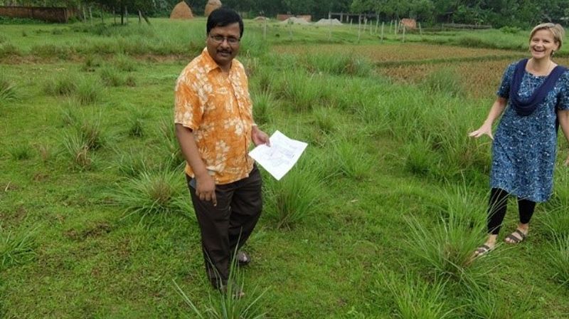 Tomtekjøp i Bangladesh