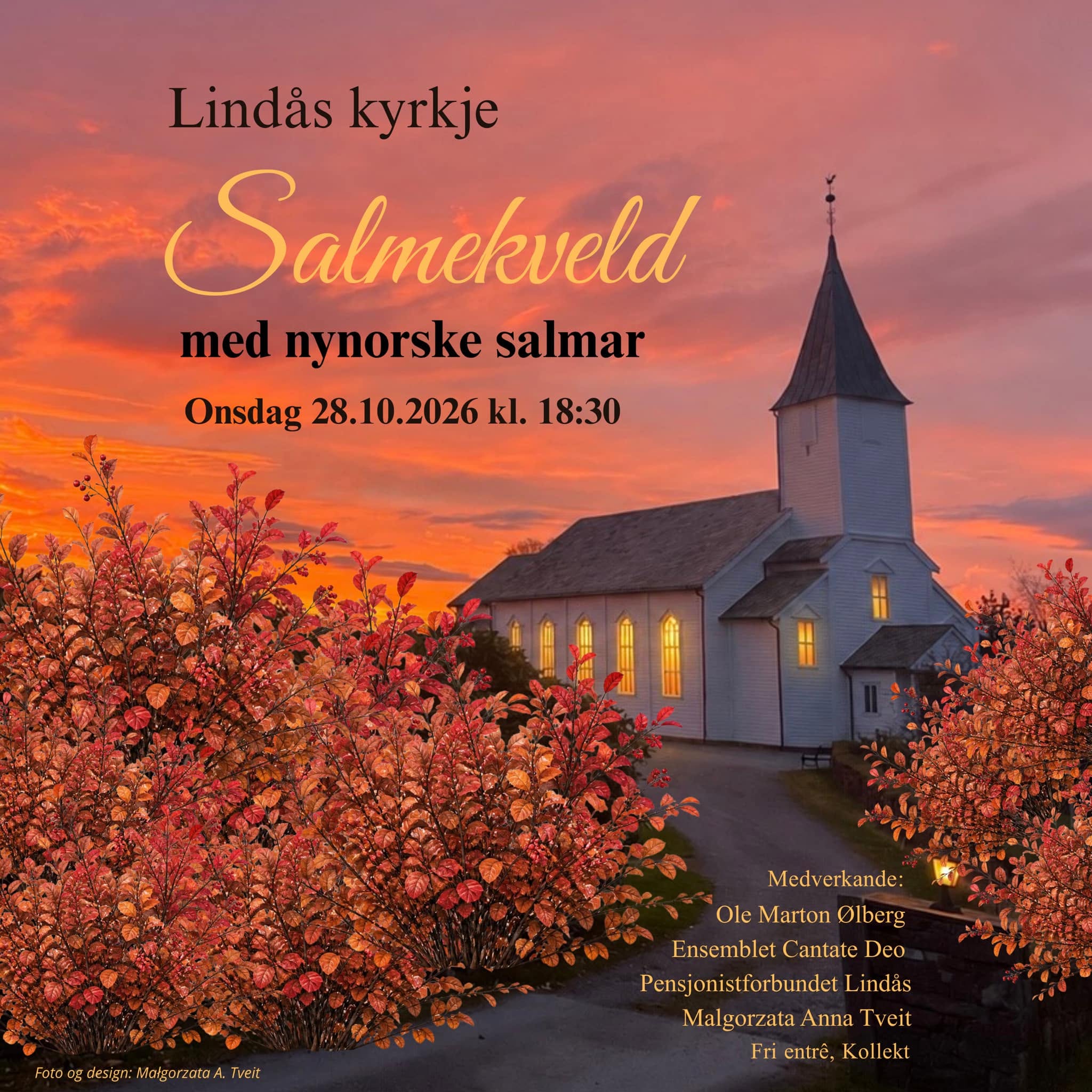 Salmekveld med nynorske salmar 