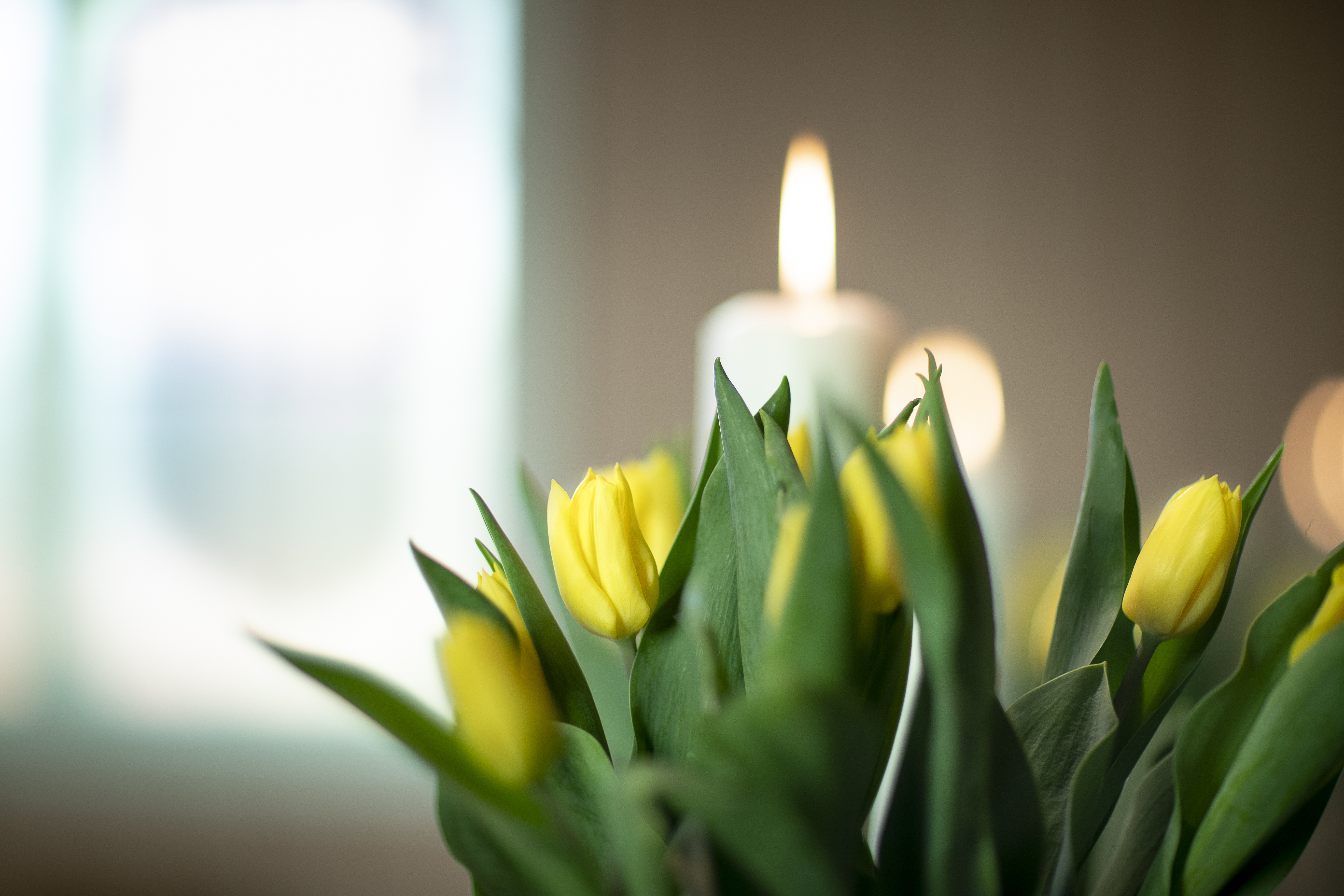 Foto: Bo Mathisen / Den norske kirke
