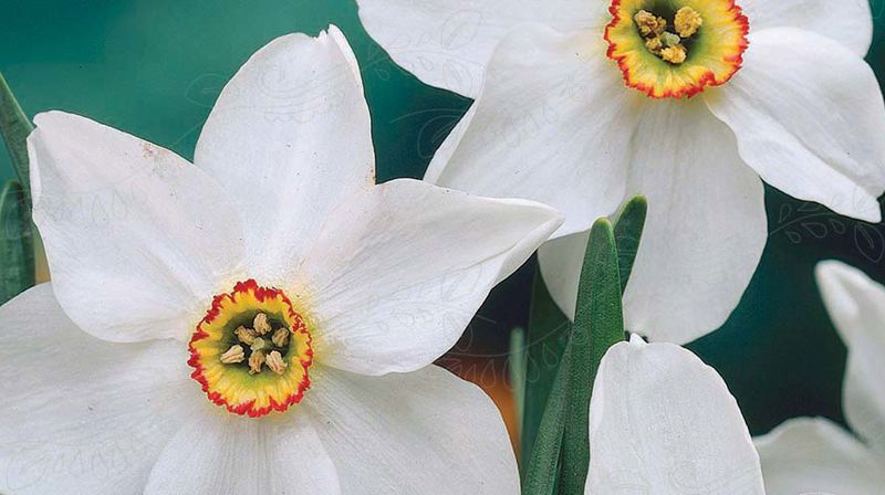 Gudsteneste pinsedag 31.mai 2020