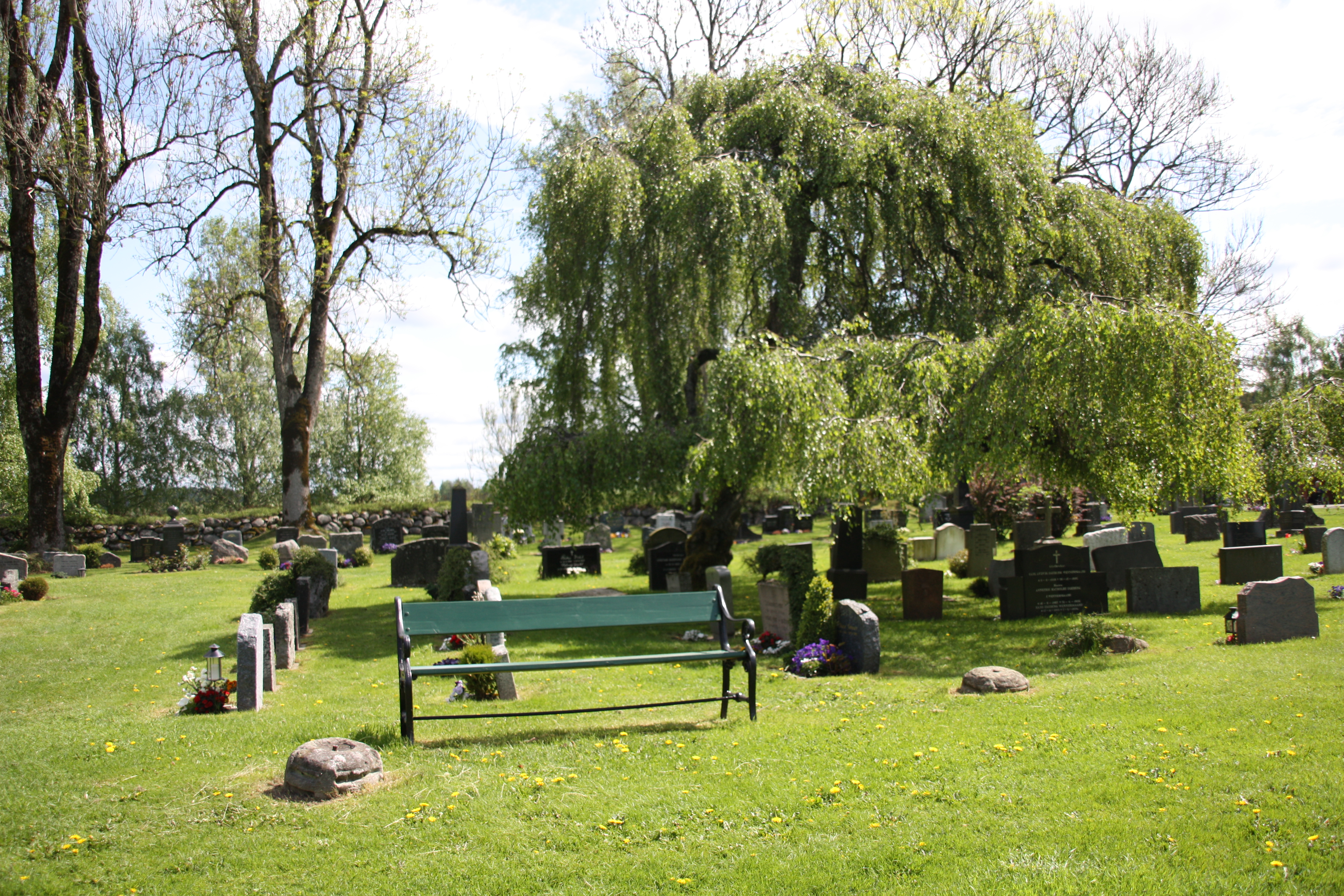 Bilde: Gravplass med en benk, et tre og gravminner