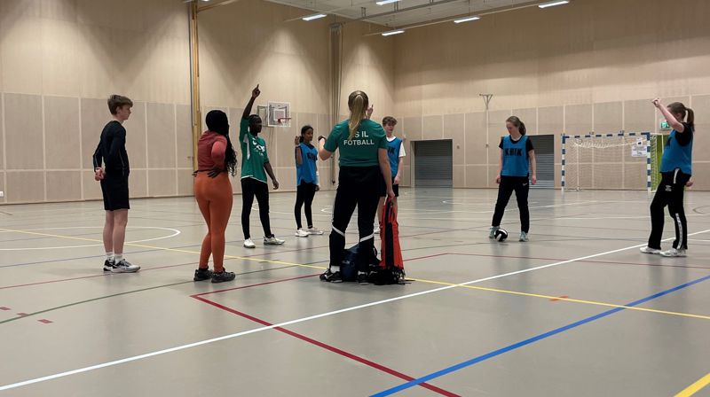 Synstolkning: bilde av ungdommer i aktivitet i Rustadhallen. Foto: Linda Janson-Haddal.