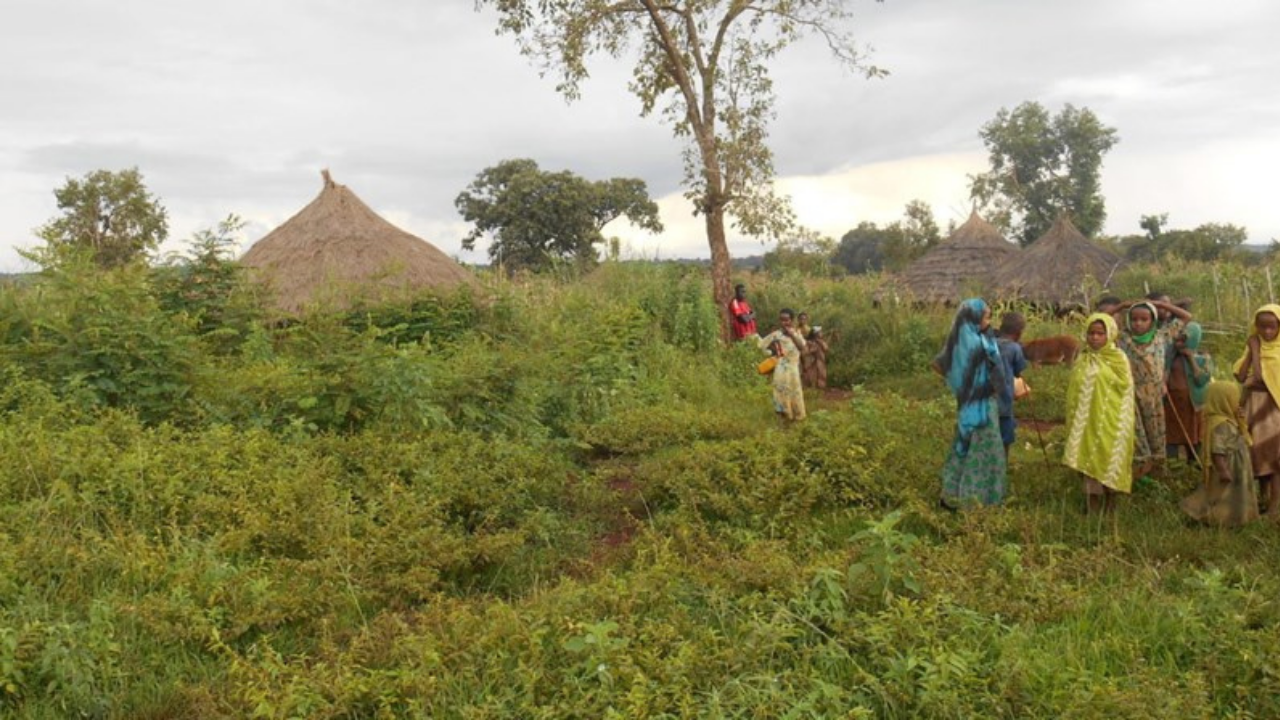 Bilder er tatt av misjonæren «vår» Sophie Küspert-Rakontondrainy. Tekst av prostidiakon Atle Eikeland.