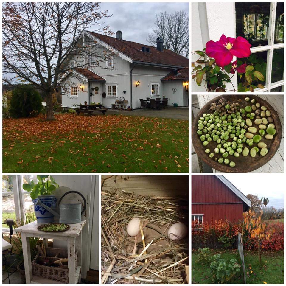 URTEGÅRDEN NORDE MØRK I HØLEN I VESTBY ER ET STED FOR HVILE OG ETTERTANKE. DET ER OGSÅ ET PILEGRIMSHERBERGE 