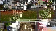 URTEGÅRDEN NORDE MØRK I HØLEN I VESTBY ER ET STED FOR HVILE OG ETTERTANKE. DET ER OGSÅ ET PILEGRIMSHERBERGE