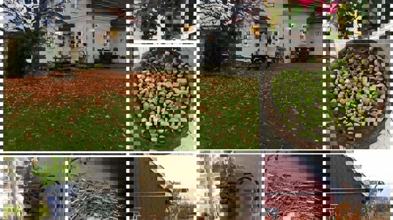 URTEGÅRDEN NORDE MØRK I HØLEN I VESTBY ER ET STED FOR HVILE OG ETTERTANKE. DET ER OGSÅ ET PILEGRIMSHERBERGE