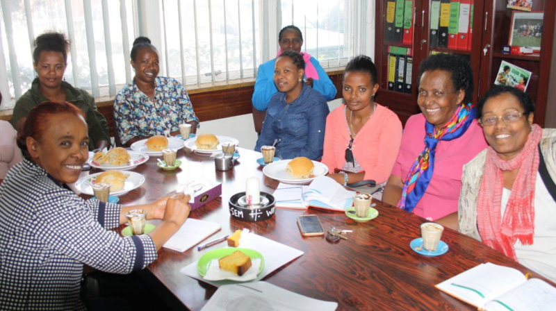 NMS Etiopia Blogg 2-2018