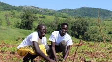 PLANTET TRÆR: Under ungdomsleiren «Summer Together» var treplanting én av mange aktiviteter. Foto: NMS.