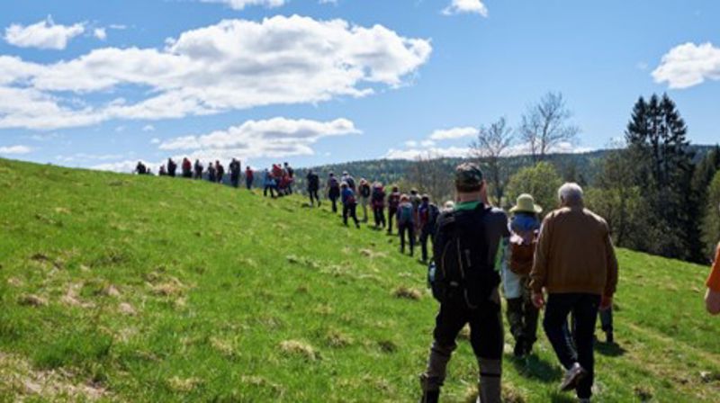 St. Hallvardsvandring 2024