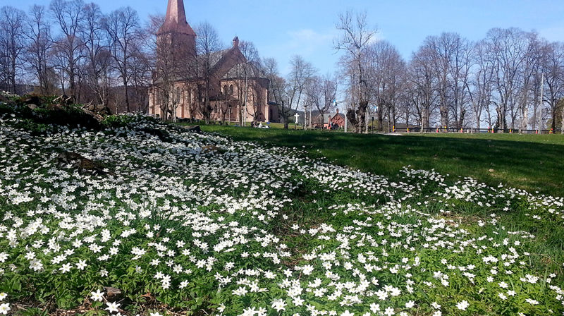 Om Asker kirke