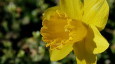 Bildet tatt av Nowaja fra Pixabay