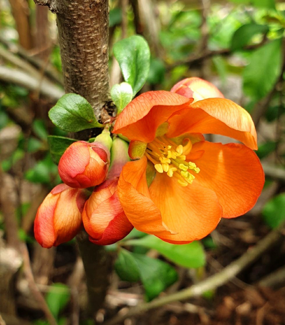 Høstprogrammet for formiddagstreffene i Asker menighet
