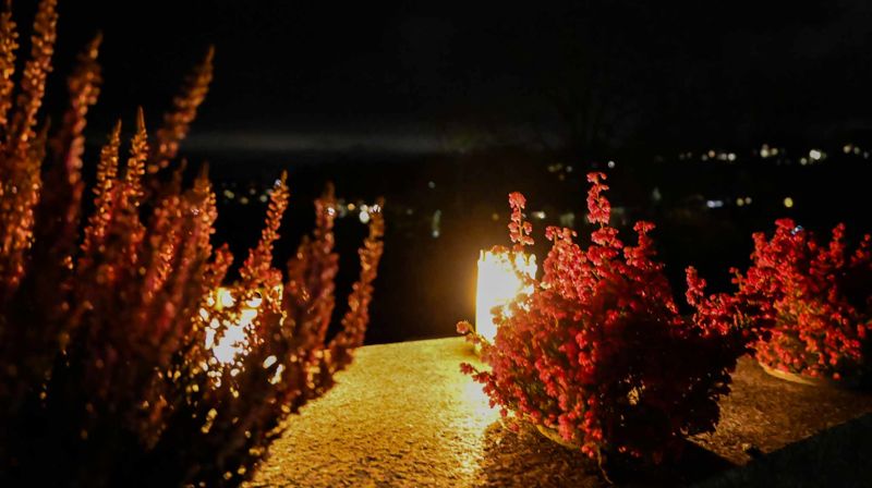Mange har tradisjon for å besøke kirkegård eller gravplass på allehelgensdag. Her fra Østenstad kirkegård på allehelgensdag (Foto: Svartvasmo / Asker kirkelige fellesråd)