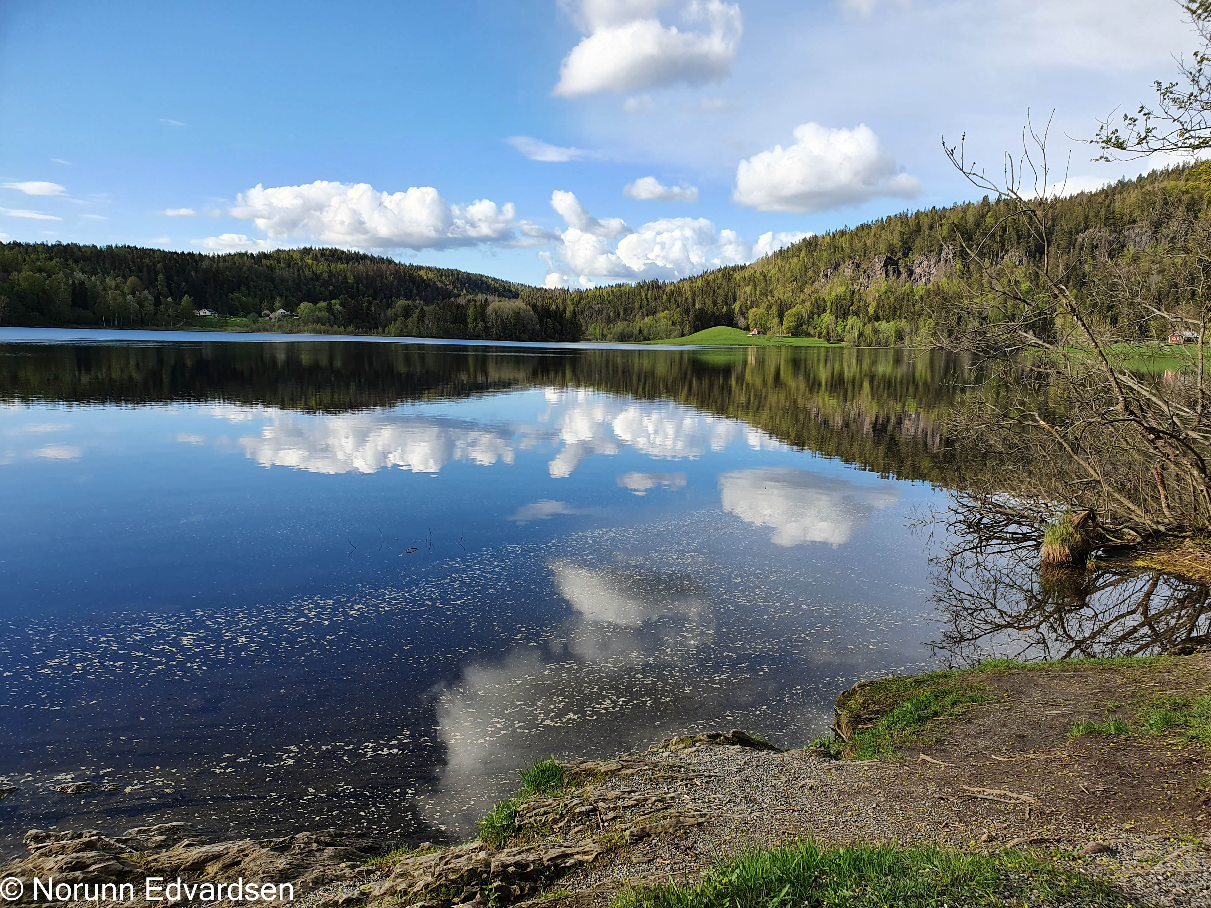 Landskapsbilde med vann og skog. Fotograf: Norunn Edvardsen