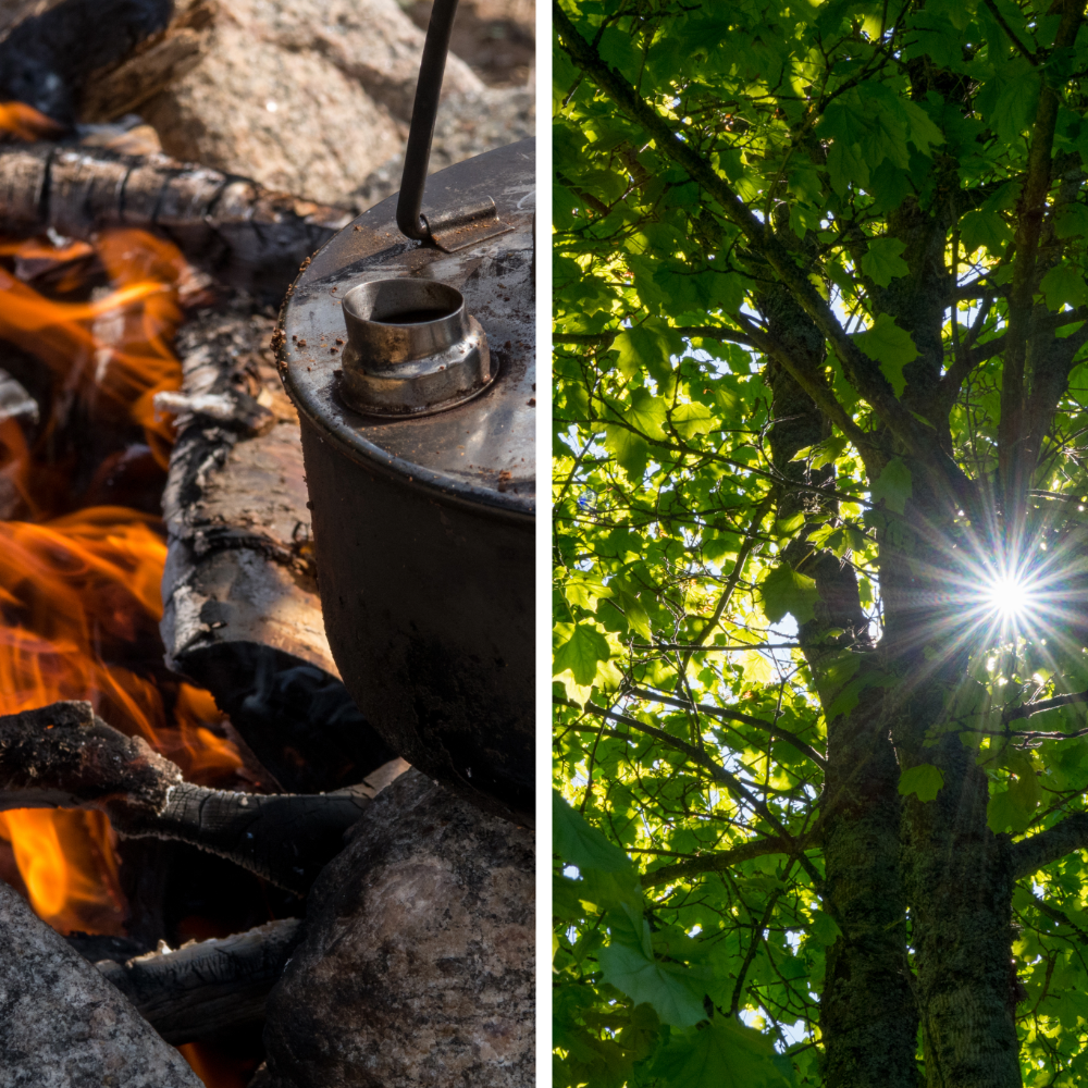 Sammensatt bilde av bålkaffe og grønne blader. Foto: Lars Verket