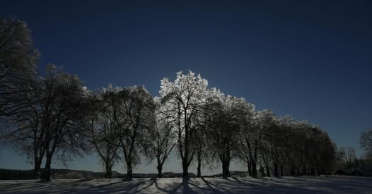 "Jul i Prestegårdsalleen" er i ferd med å bli fast årlig tradisjon første helg i advent. Kanskje kommer et tynt lag med snø i år? Foto: Pål A. Berg