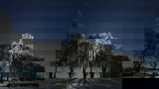 "Jul i Prestegårdsalleen" er i ferd med å bli fast årlig tradisjon første helg i advent. Kanskje kommer et tynt lag med snø i år? Foto: Pål A. Berg