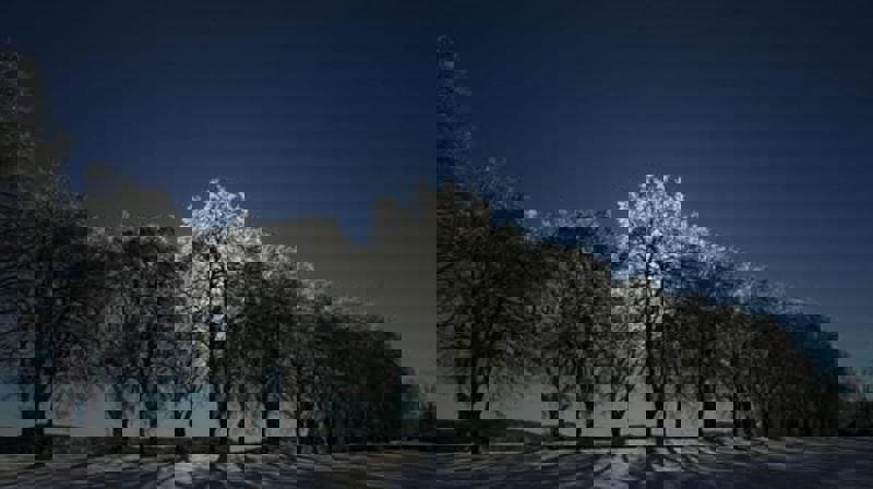 "Jul i Prestegårdsalleen" er i ferd med å bli fast årlig tradisjon første helg i advent. Kanskje kommer et tynt lag med snø i år? Foto: Pål A. Berg