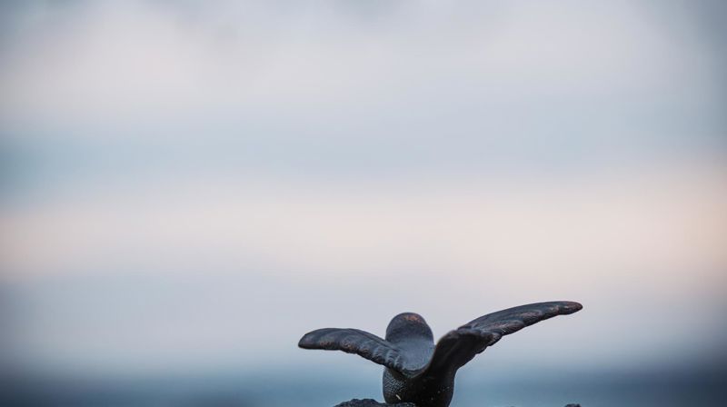 Foto: Helene Moe Slinning