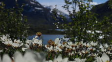 Foto: Agnes Flaten