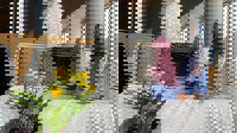 Påske 2021 i Vardåsen kirke