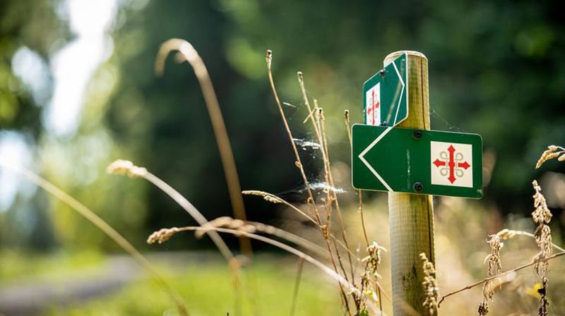 Pilegrimsgudstjeneste for hele prostiet