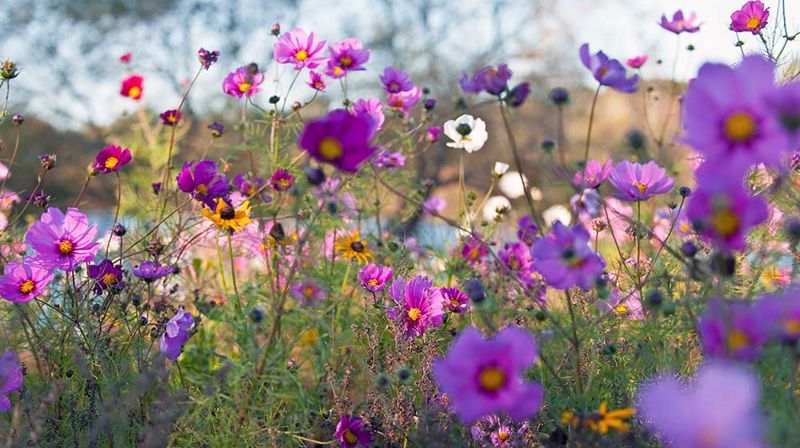 Utegudsteneste i Årvikane