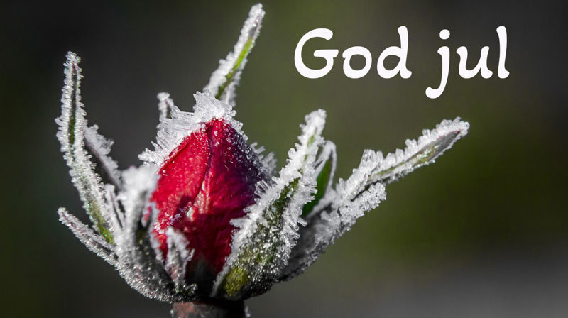 God jul frå kyrkja