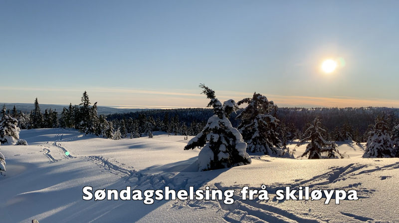 Søndagshelsing frå skiløypa