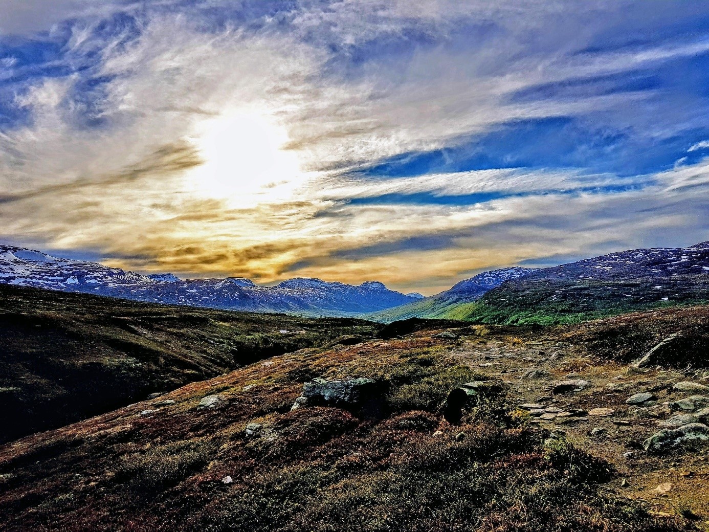 Foto: Toril Johnsen-Dybdal