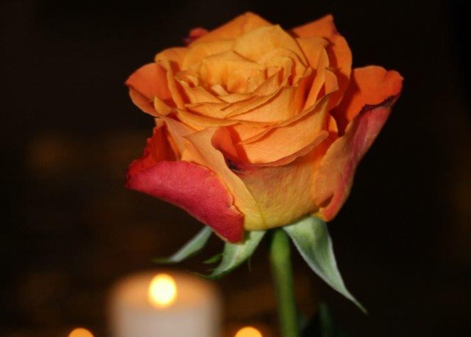 Å leve med sorgen - samling om sorg og sorgreaksjoner