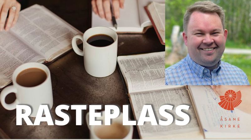 Rasteplass - De bibelske salmer – som bønn og oppbyggelse