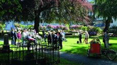 Pilegrimer i Bergen sentrum. Foto: Anne Merete Solbakken