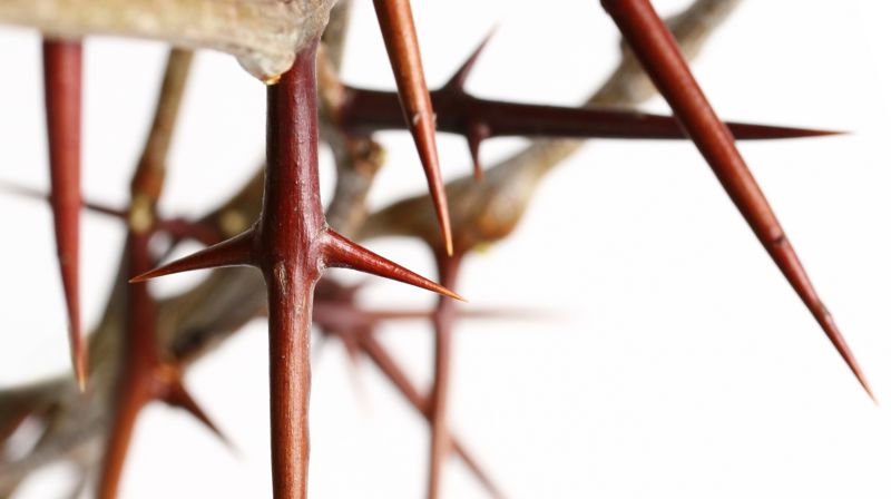 Chilcott: St John Passion