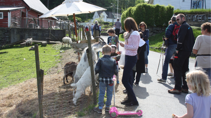 Det er mye å se og mange å hilse på langs den gamle kirkevegen. 