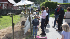 Det er mye å se og mange å hilse på langs den gamle kirkevegen.