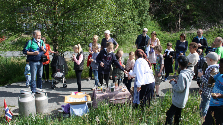 Gammel kirkeveg mot Kirkebirkeland. Foto: Gyrid Cecilie Nygaard