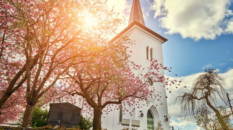 Birkeland sokn - Sædalen og Birkeland menigheter.