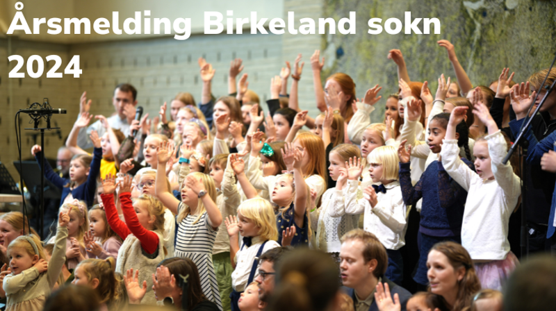 Årsmeldingen for 2024 er klar