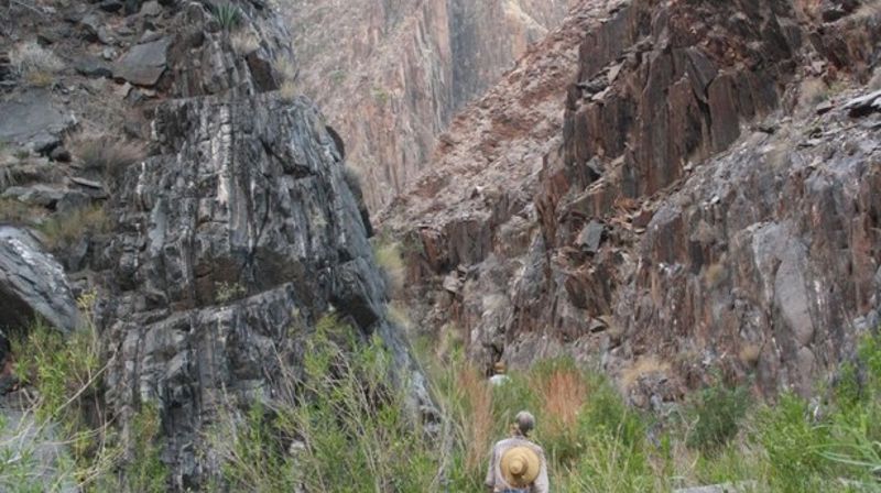 Preken Kristi Himmelfartsdag