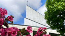 Vårblomster utenfor Landås kirke