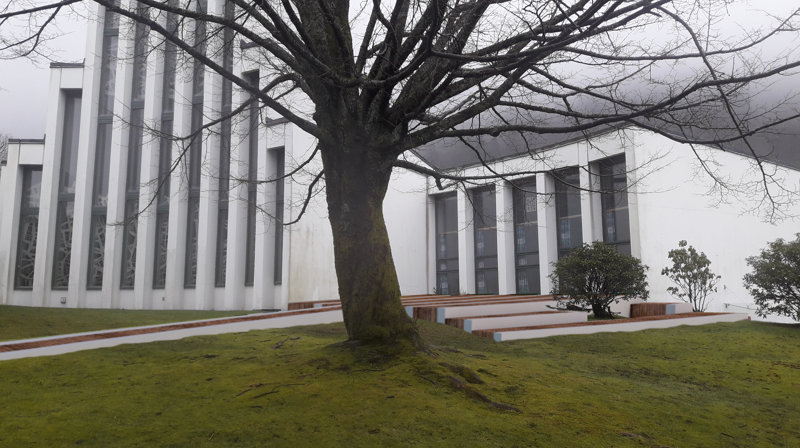 Siste nytt fra menighetsrådet