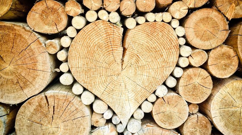 Bildet er tatt av TheUjulala fra Pixabay