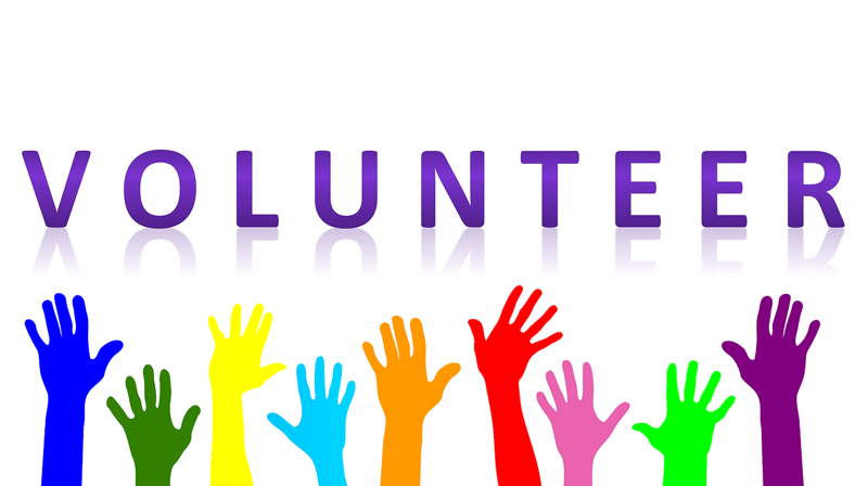 Silhuetter av ni opprakte hender i hver sin farge med teksten «VOLUNTEER» over